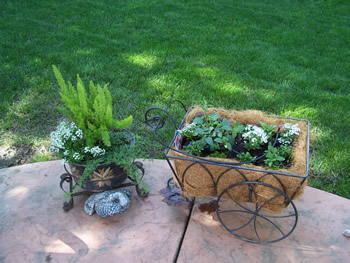Ripon, CA - Sustainable Landscape Garden Consulting Container Plantings